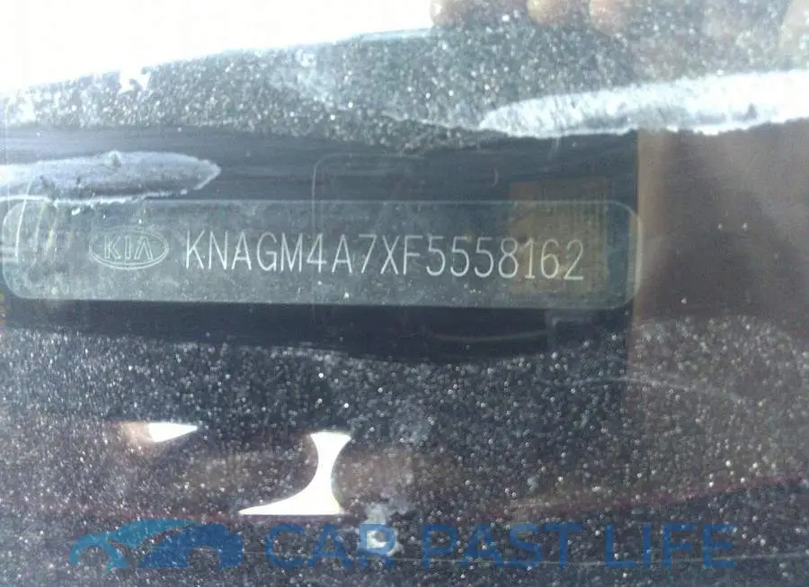 KNAGM4A7XF5558162# 9