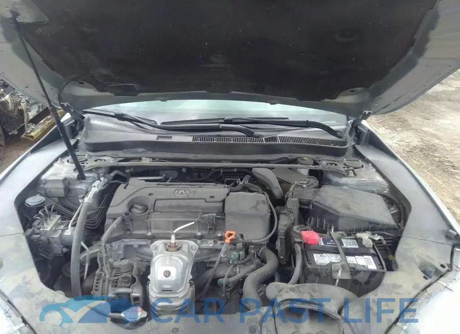 19UUB1F57KA800197# 10