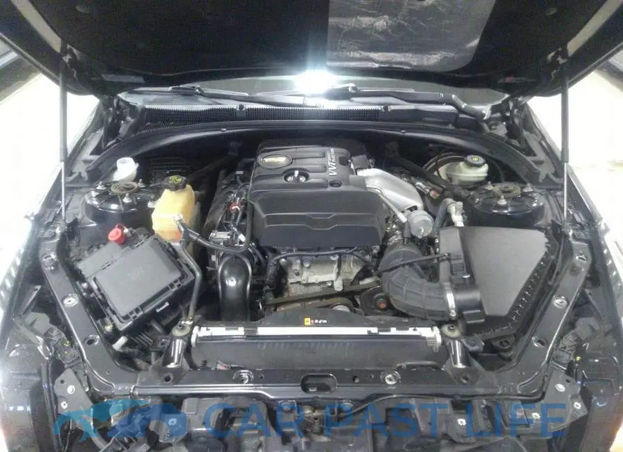 1G6AG5RX8H0204184# 10