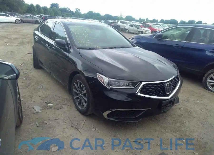 19UUB1F31KA800159# 1