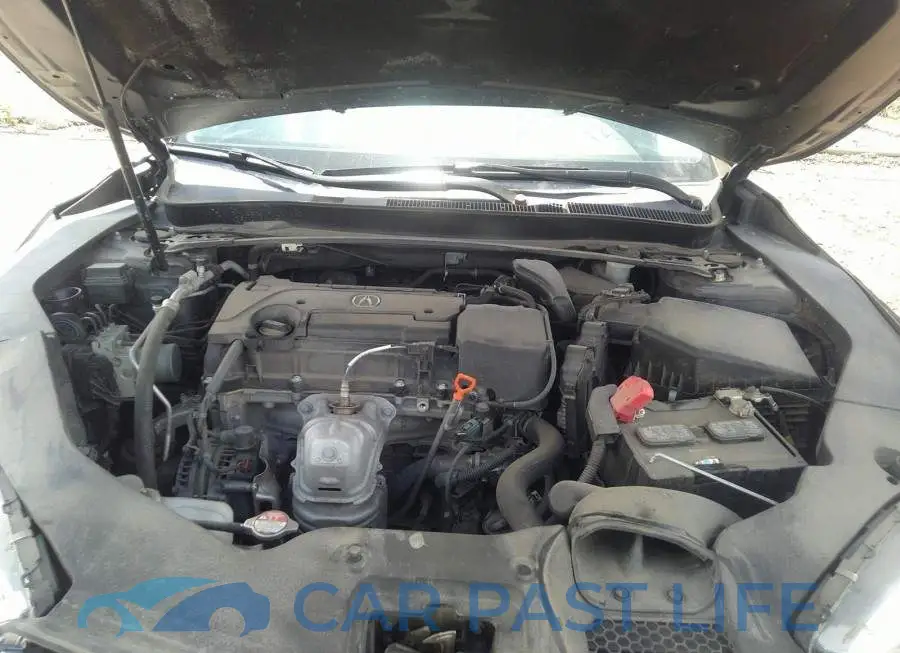 19UUB1F55KA800201# 10
