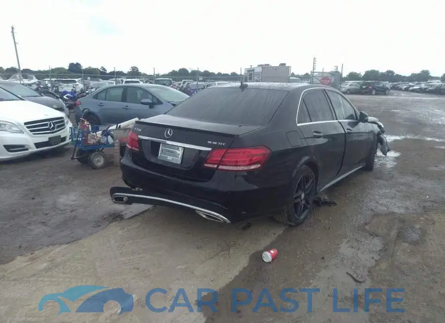 WDDHF9HB3GB168487# 1
