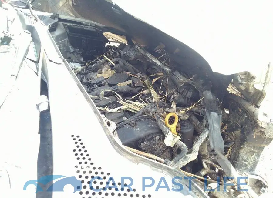 3VW447AU9GM008831# 10