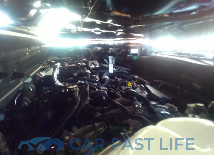 3FMCR9C65NRD69124# 10
