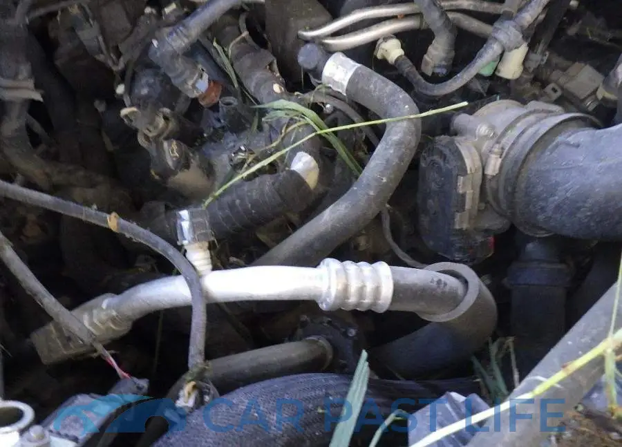 1FTEW1E55LFB91320# 8