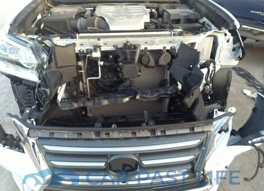 JTJJM7FX8J5202849# 6