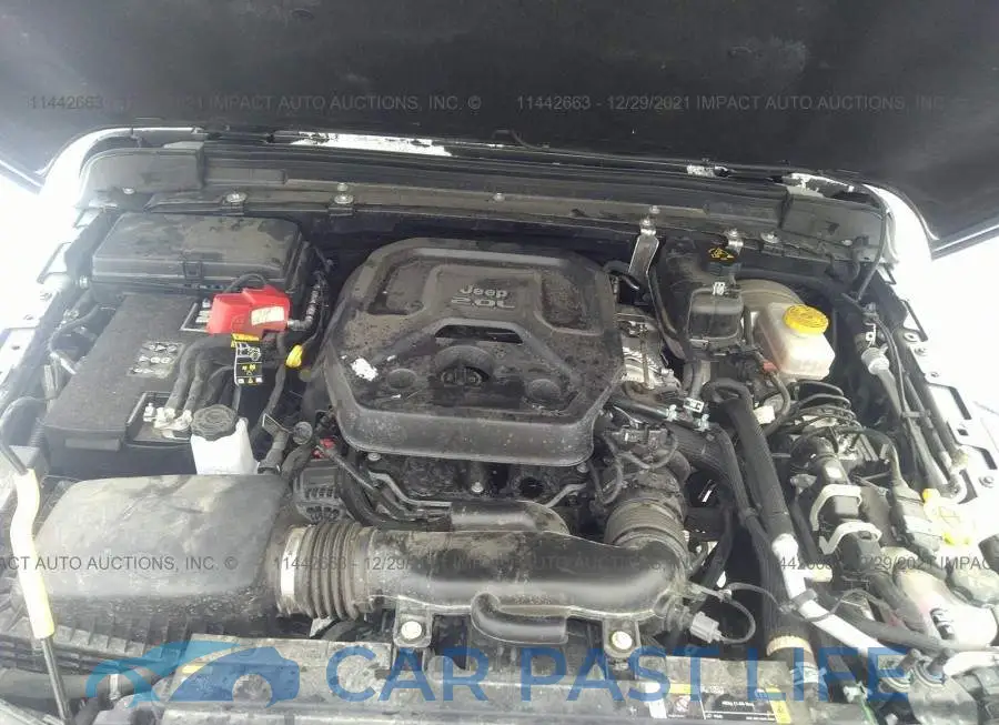 1C4HJXEN1MW661004# 10