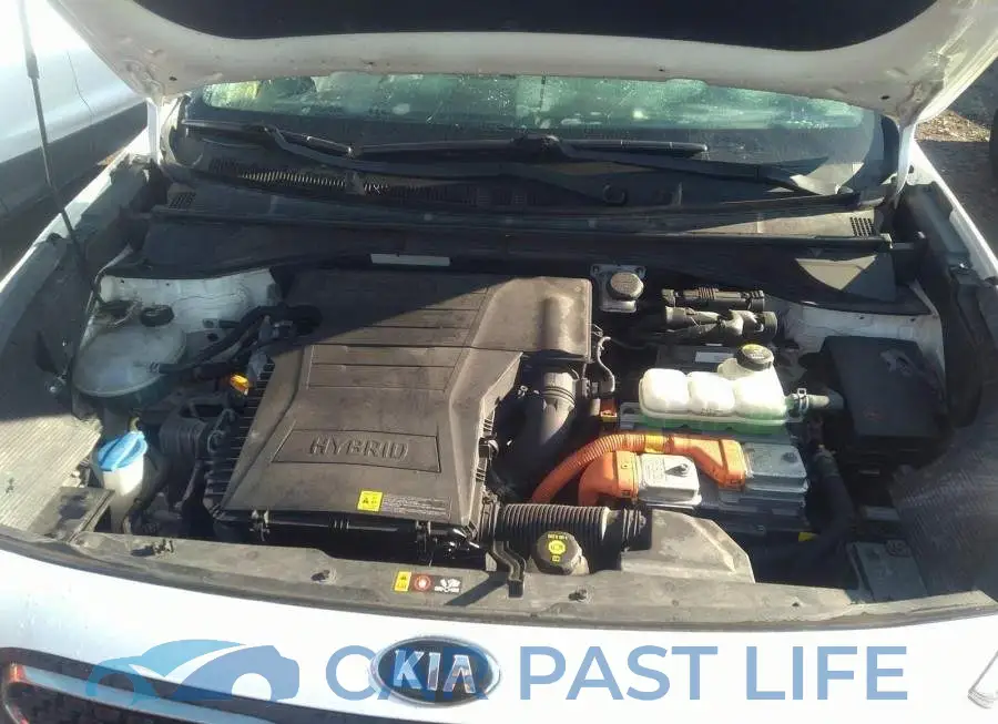 KNDCC3LC5J5157250# 10