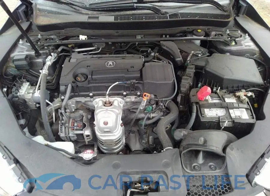 19UUB1F50KA800199# 10