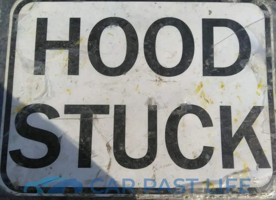 1C4RJFAG0LC213987# 10