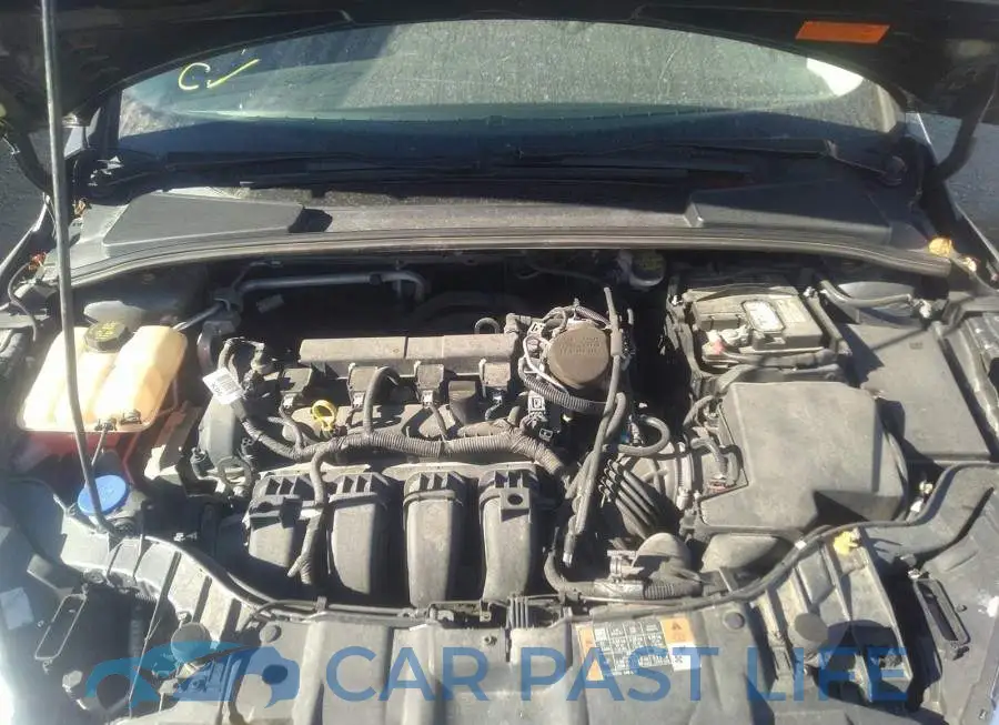 1FADP3E23FL331984# 10