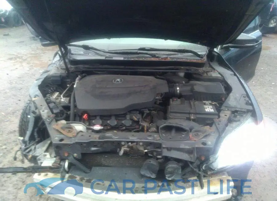 19UUB2F5XFA800626# 10