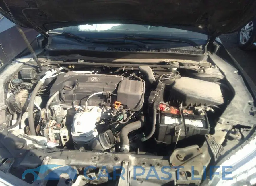 19UUB1F52FA802056# 10