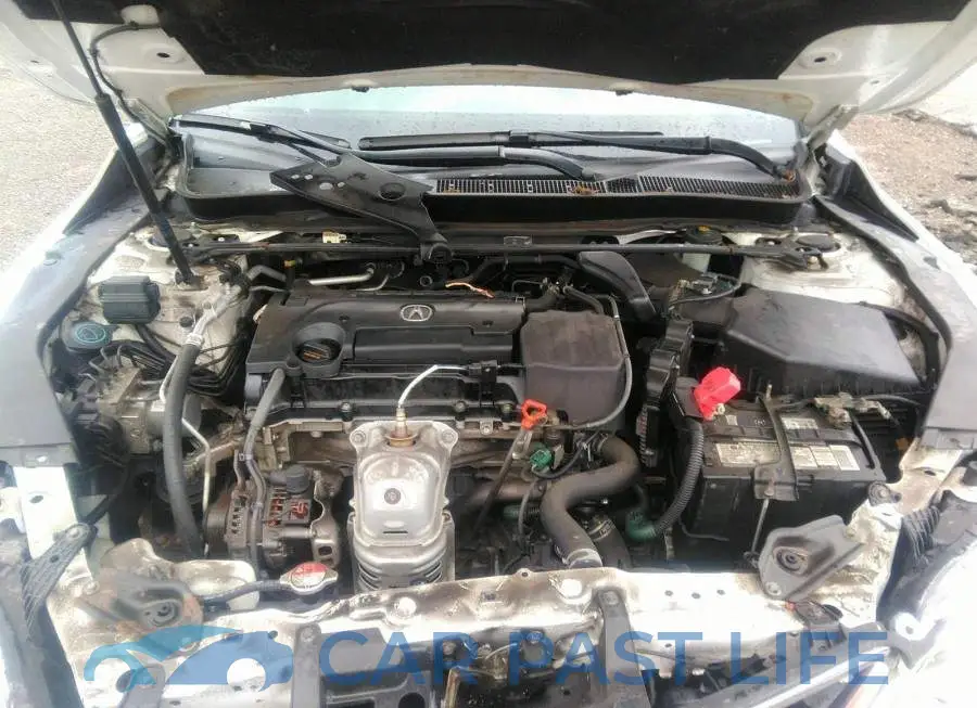 19UUB1F37GA800559# 10