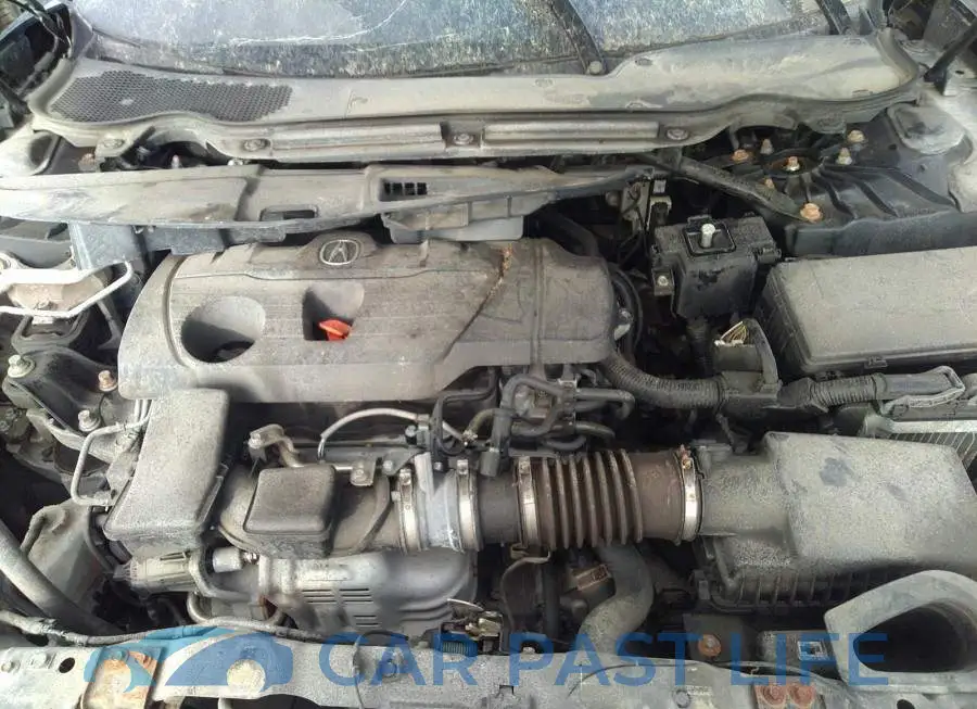 19UUB6F57MA800605# 10