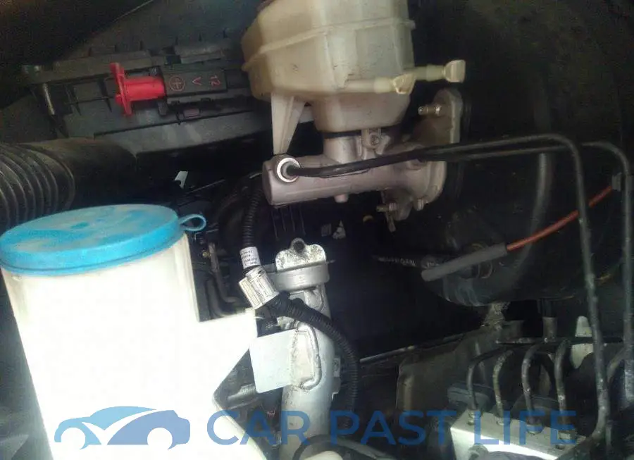WD3BF1CD8KP072449# 10