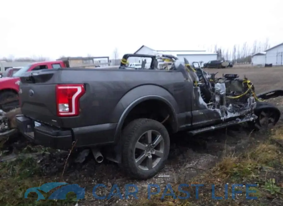 1FTEW1EF4GKF28095# 9