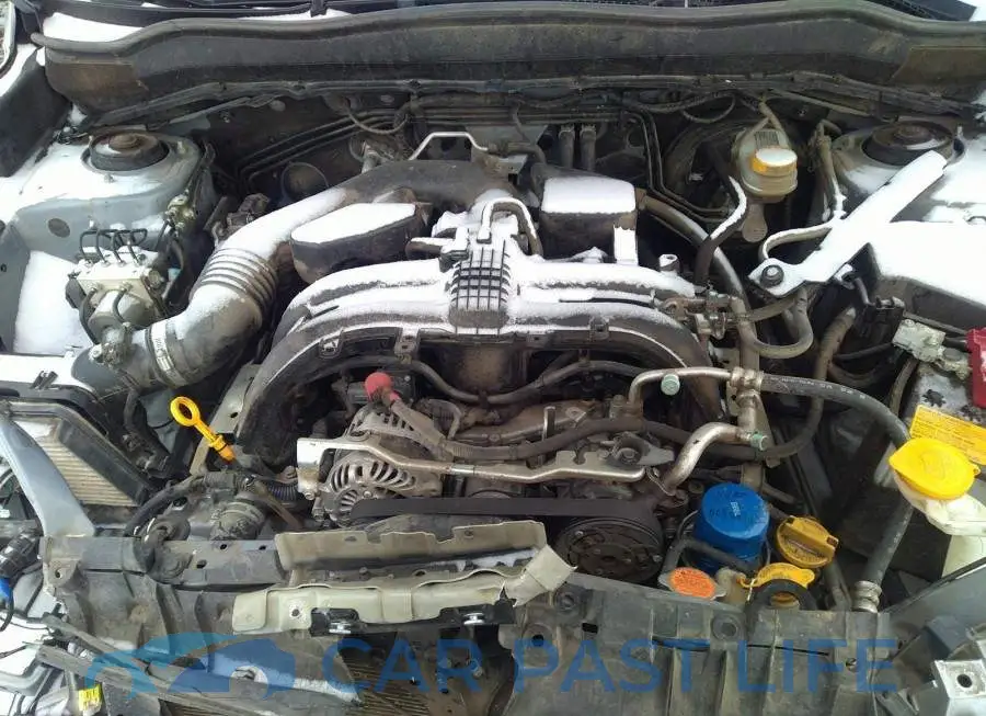 JF2SJHTC7HH567282# 10
