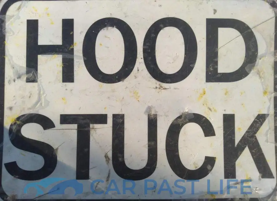 5J8TB4H55GL803590# 10