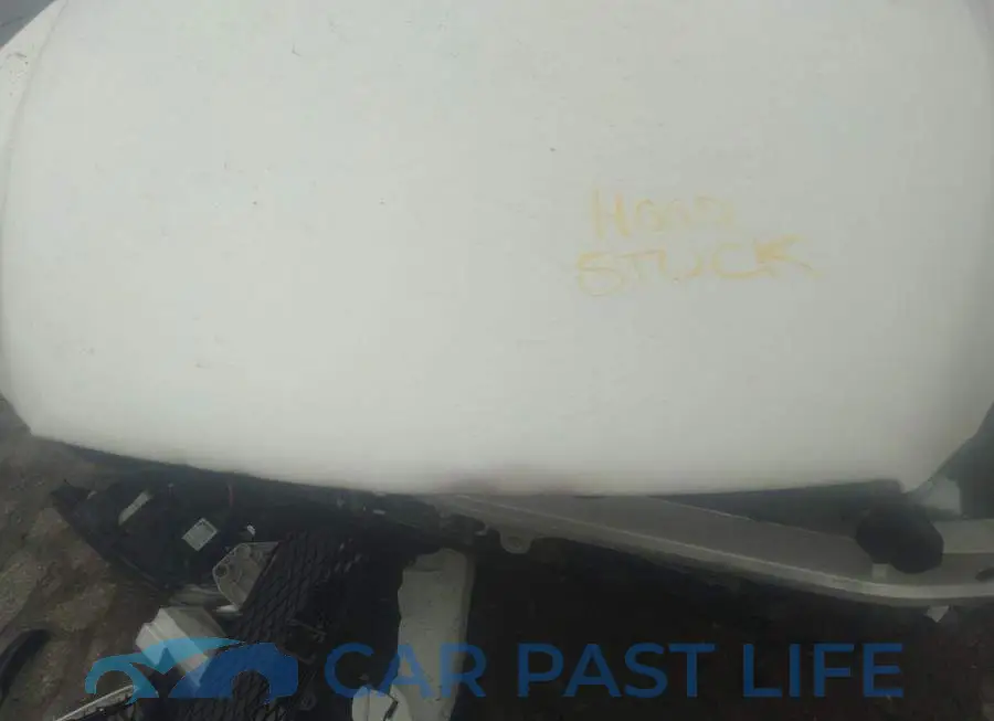 JN1BJ0RR4GM267462# 10