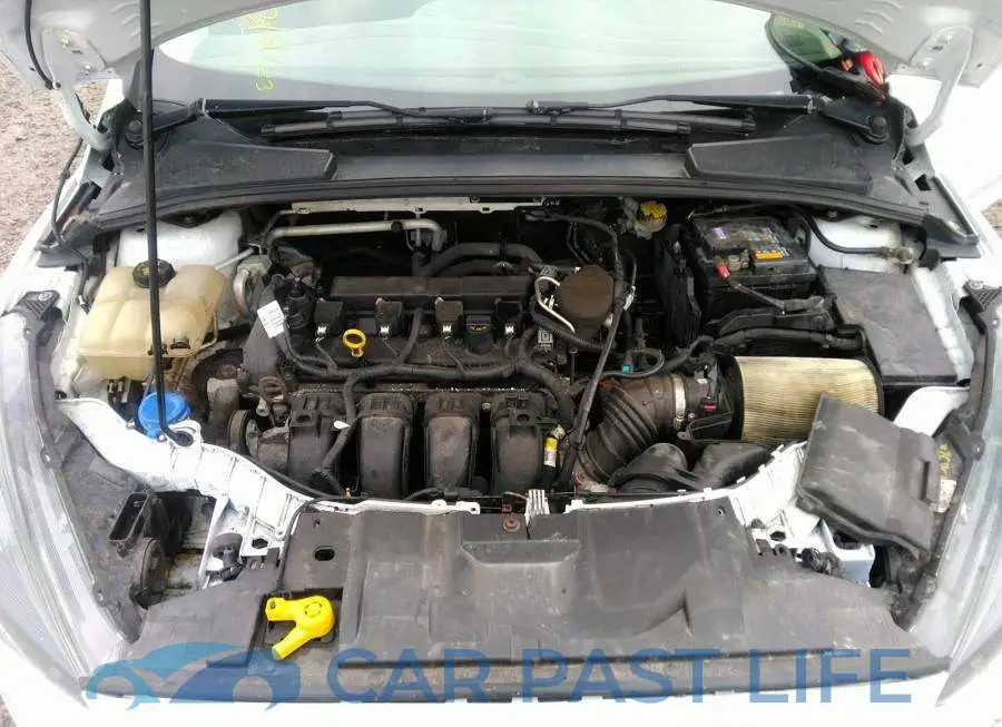 1FADP3K22FL297072# 10