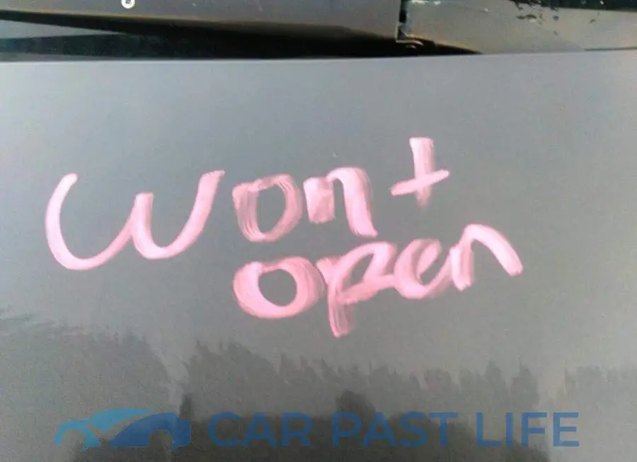 2C4RC1BG5FR501821# 10