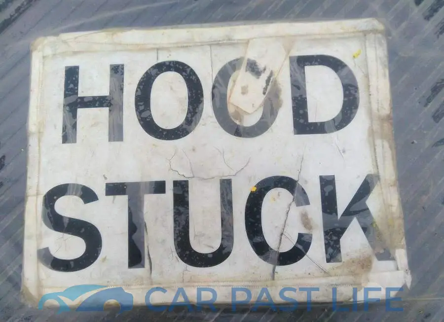 3PCAJ5CB3MF120023# 10
