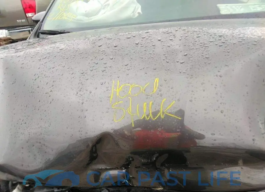 2C4RC1ZG3NR131568# 10