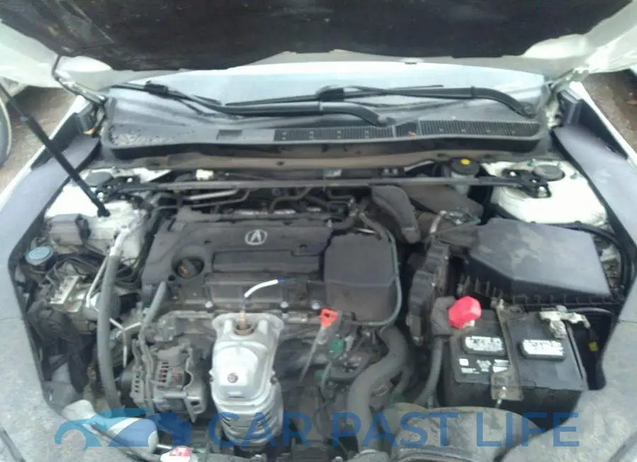 19UUB1F52JA800722# 10
