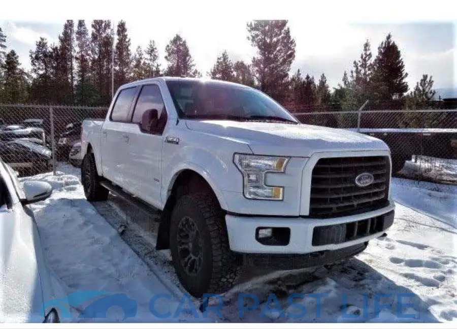 1FTEW1EG5GKF28793# 2
