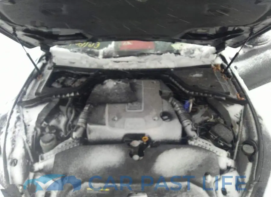 JN1BV7AR3FM406388# 10
