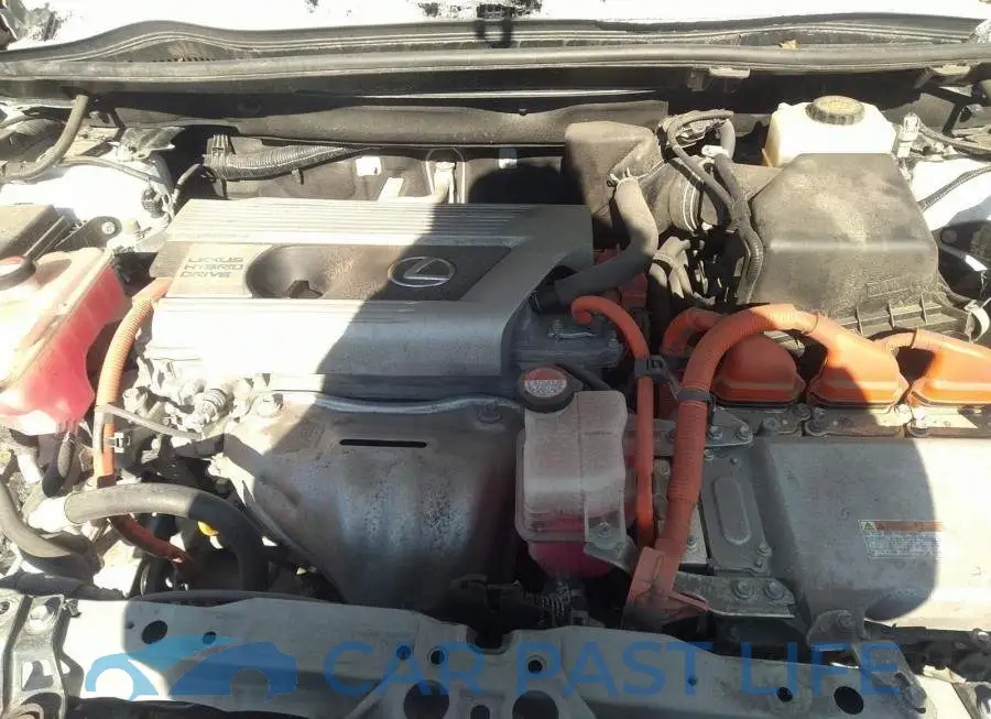 JTJBJRBZ1F2008415# 10