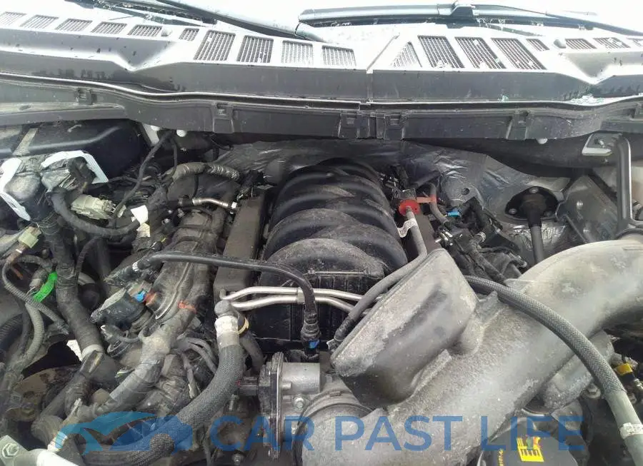 1FTFW1E52MFB96772# 10