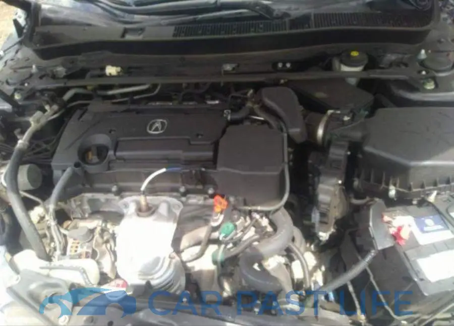 19UUB1F53GA800981# 11