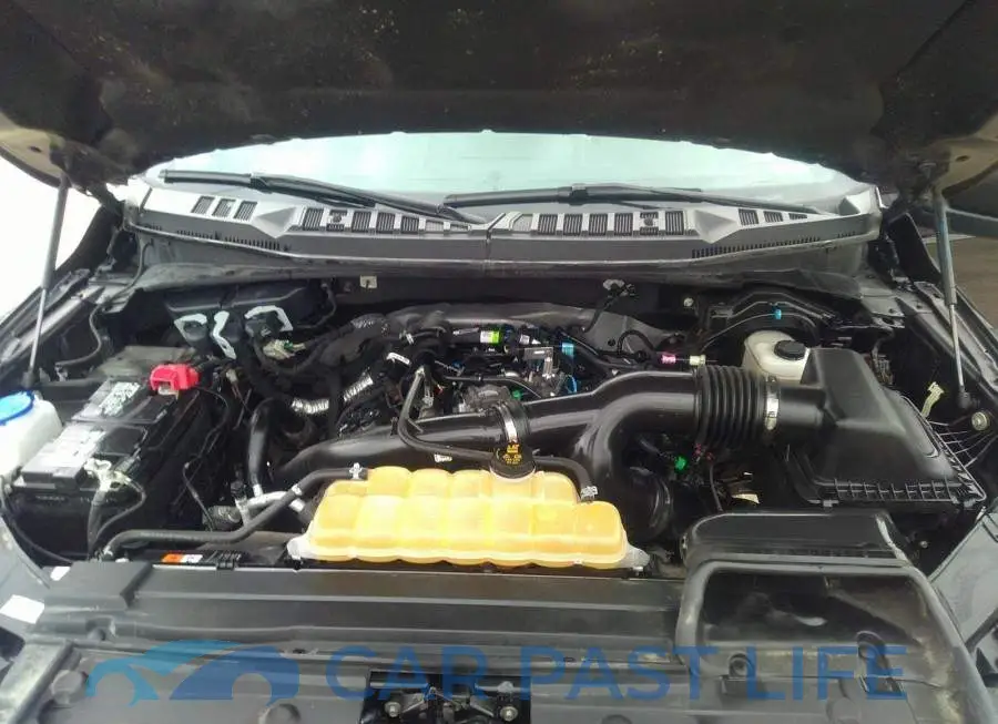 1FTEW1EP6LKF12600# 10