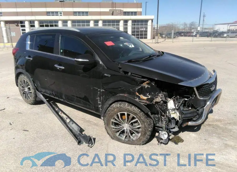 KNDPCCACXG7831734# 6