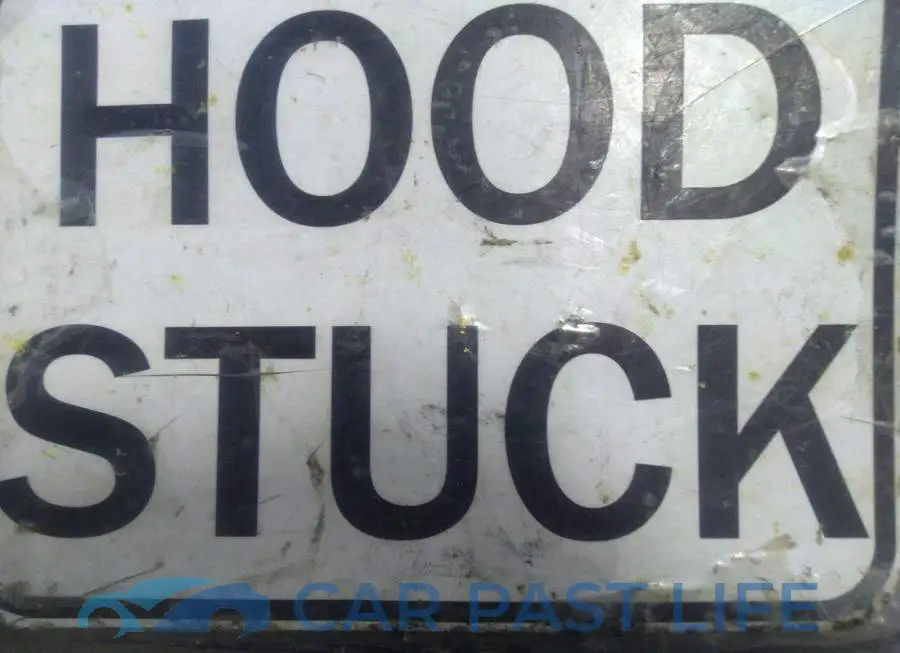1C6RR7FG7MS593187# 10