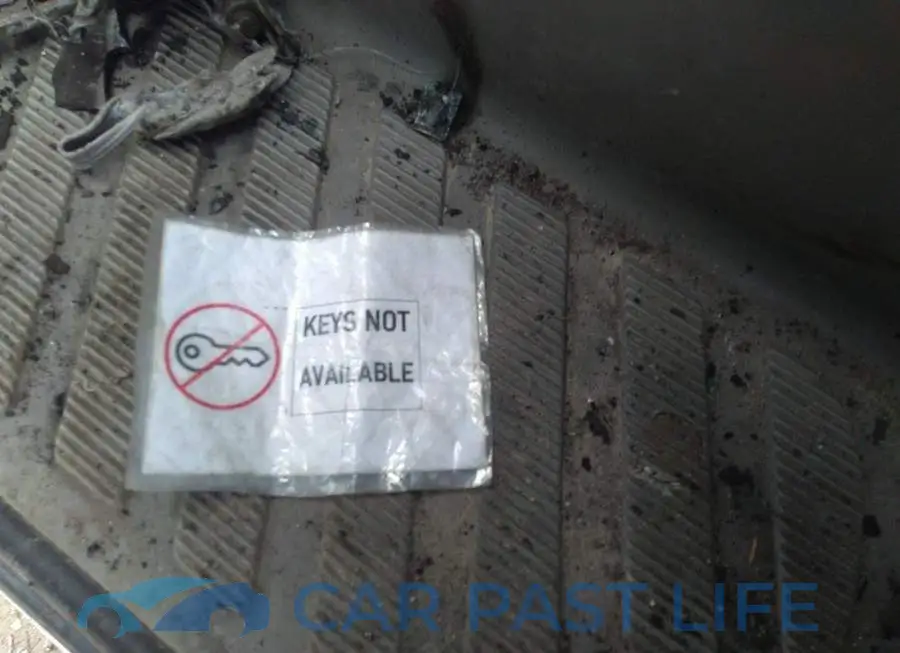 WD3BF1DC4F5961059# 11