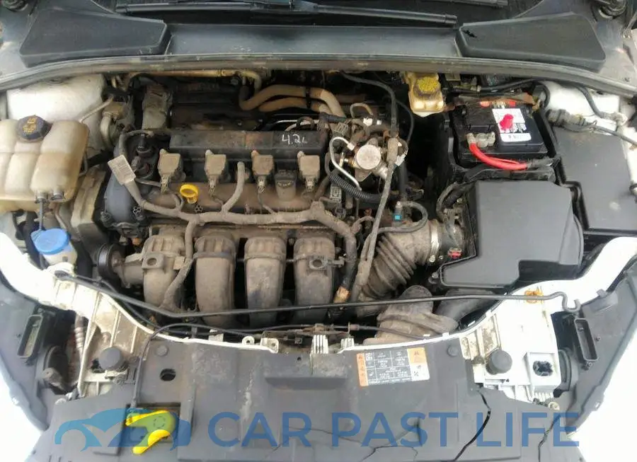 1FADP3F25JL317544# 6
