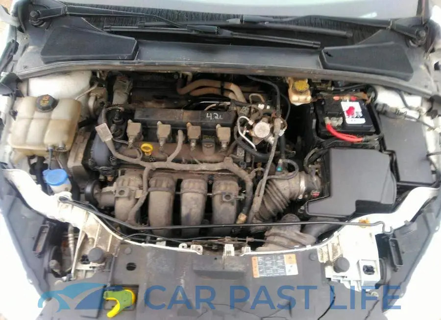 1FADP3F25JL317544# 10