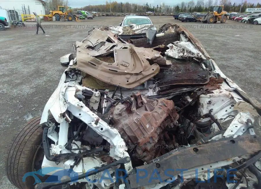 19UUB3F58HA800620# 6