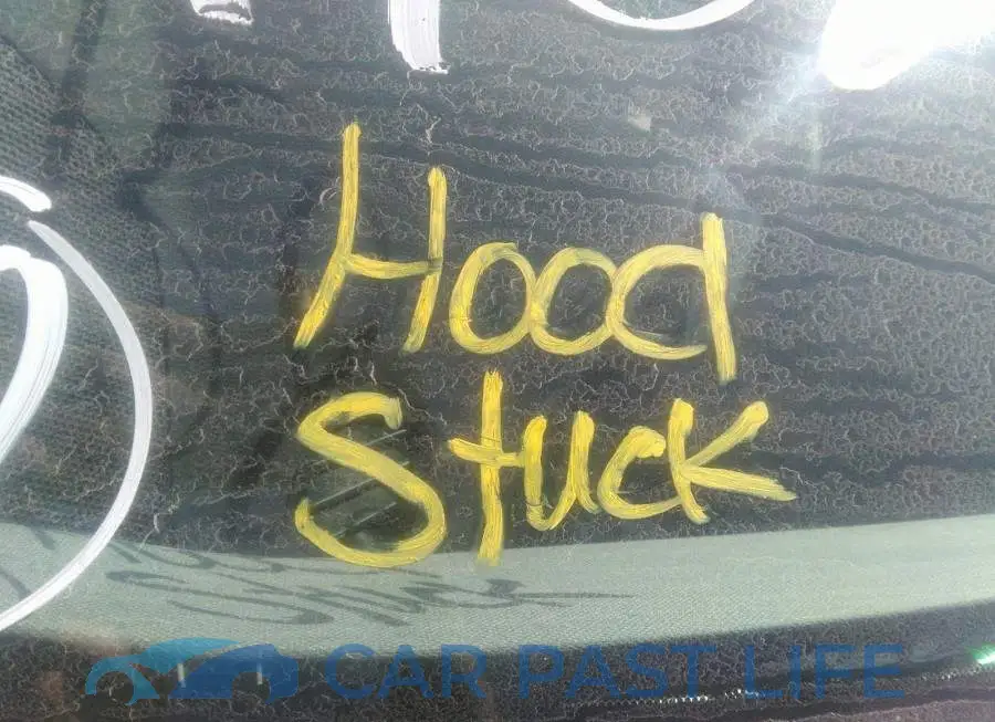 5TDJZRFH2KS736028# 10