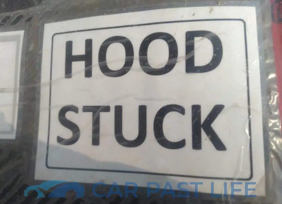 5TDDZRFH8HS368590# 10