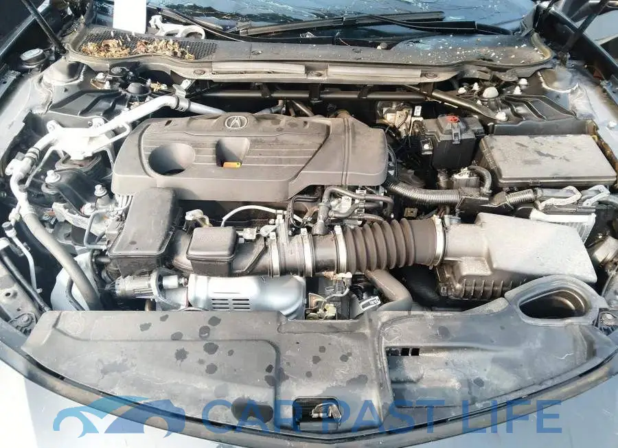 19UUB6F92MA800451# 10