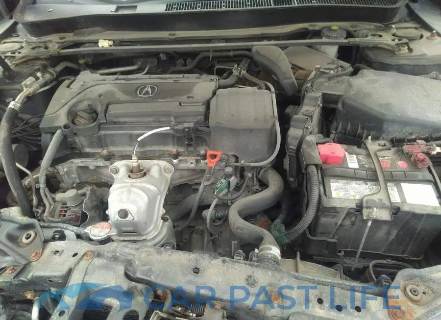 19UUB1F52GA800860# 10