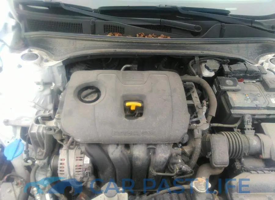 3KPF54AD2ME293451# 10
