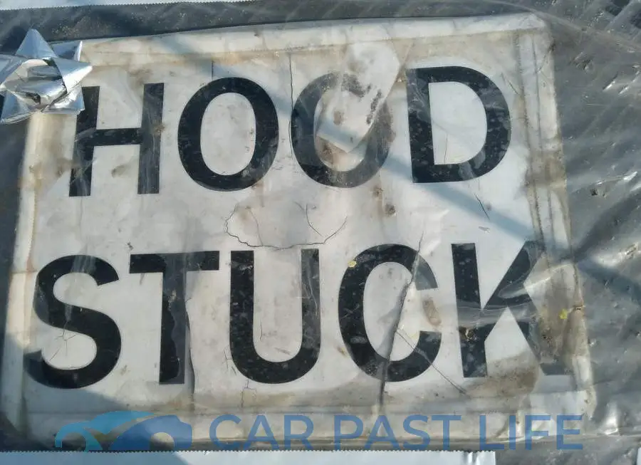 1C3CCCBG0FN549262# 10