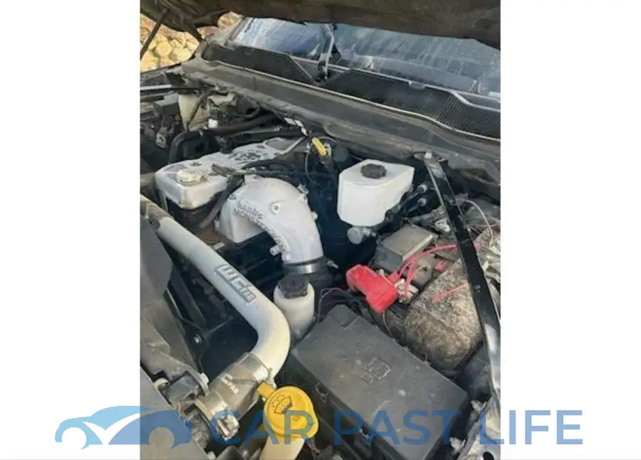 3C63RRHL4KG555531# 5