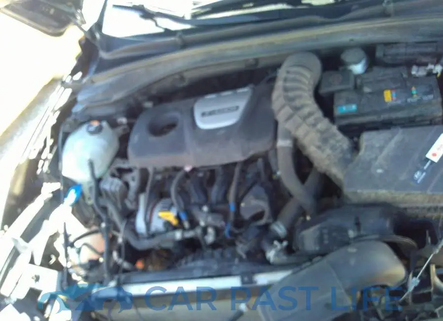 KMHH55LC6LU137508# 10