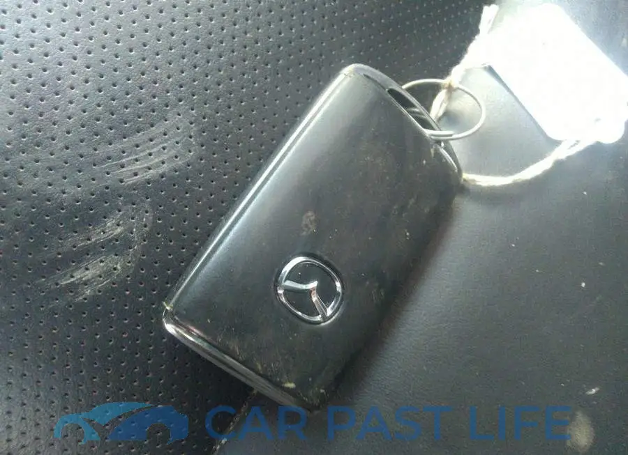 JM1BPBDL9M1333852# 11